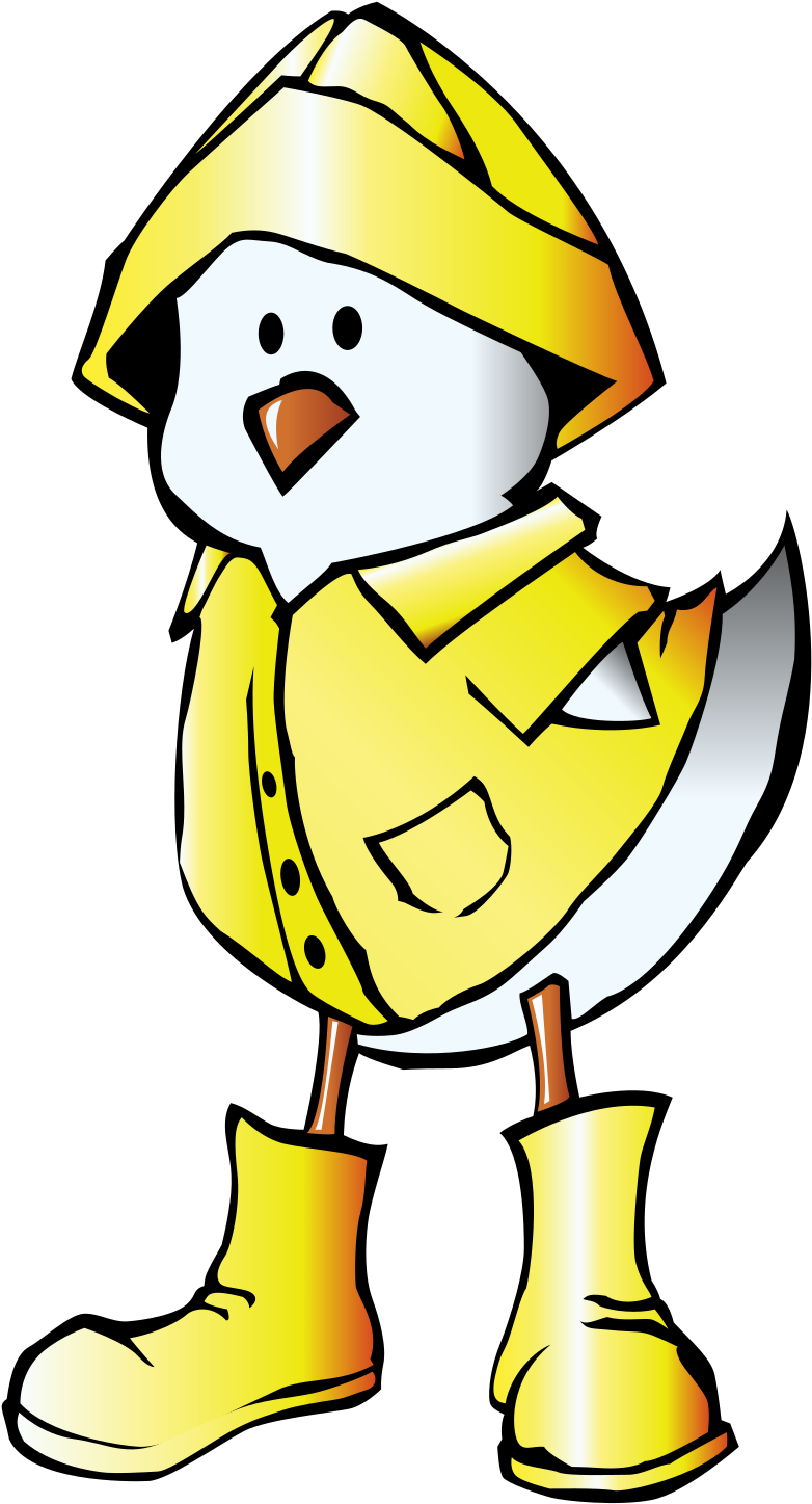 Cartoon Ducks In Raincoats Clipart (1600x1600), Png Download