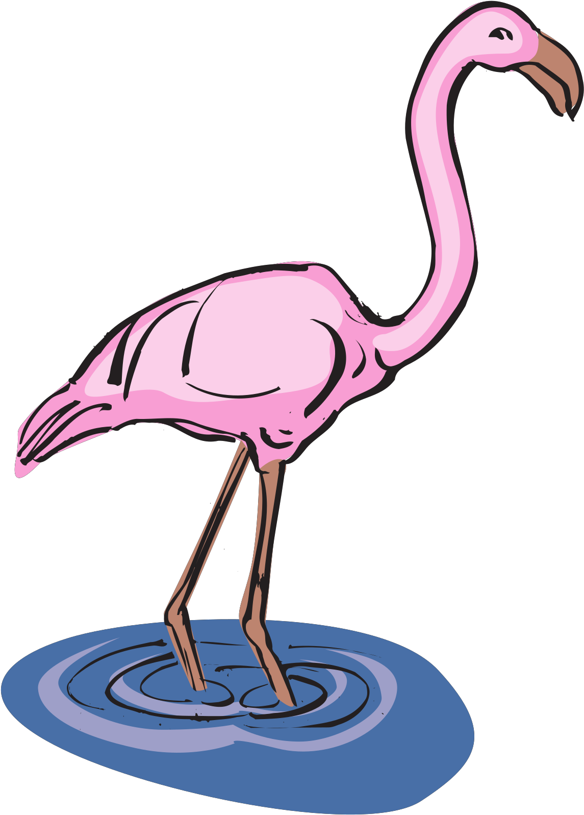 Pink Flamingos In Water Clipart - Png Download (1600x1600), Png Download