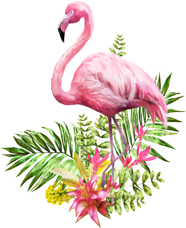 Flamingo Transparent Vector - Transparent Background Flamingo Png Clipart (700x896), Png Download