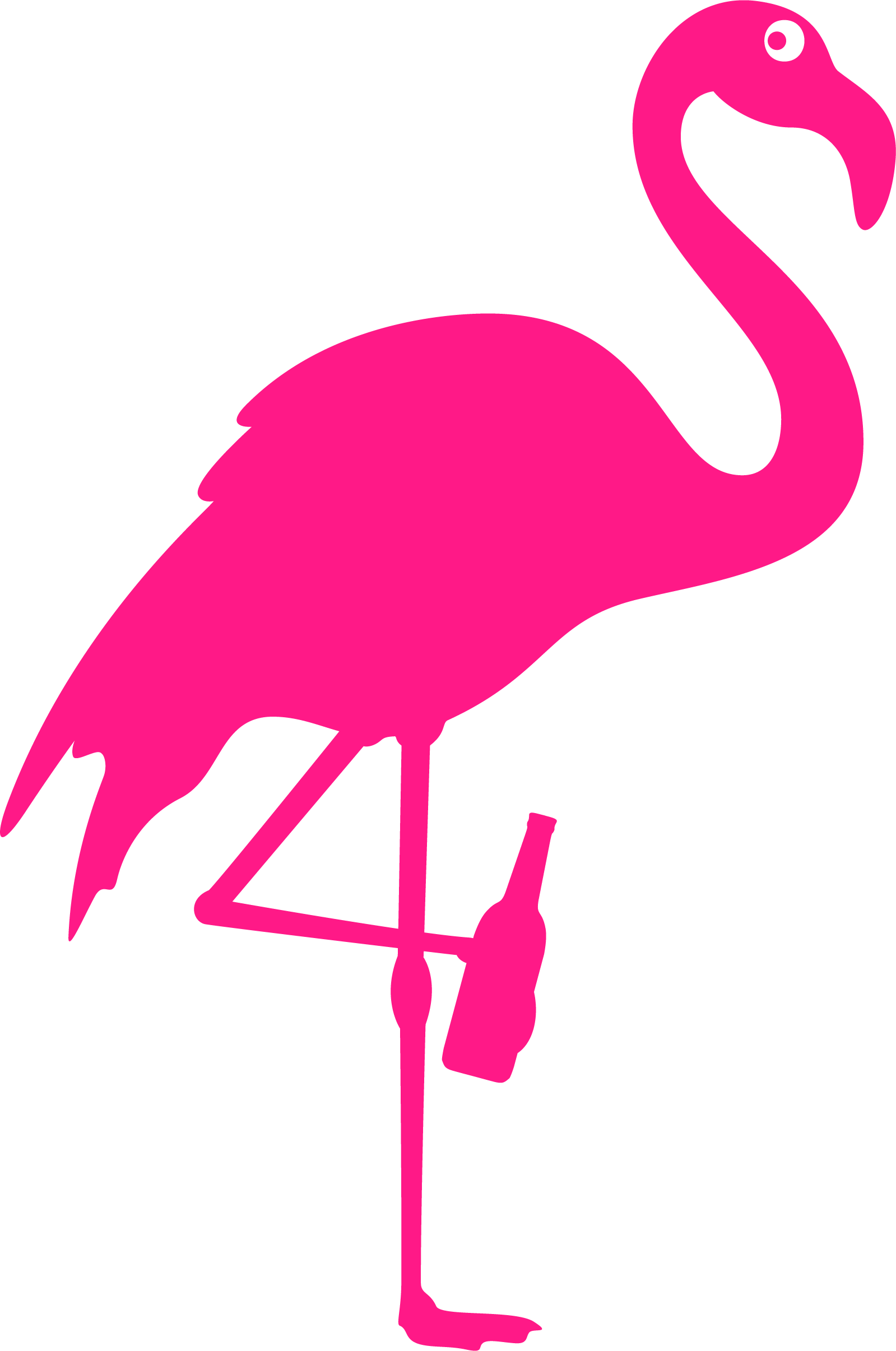 Water Bird Clipart (1599x2411), Png Download