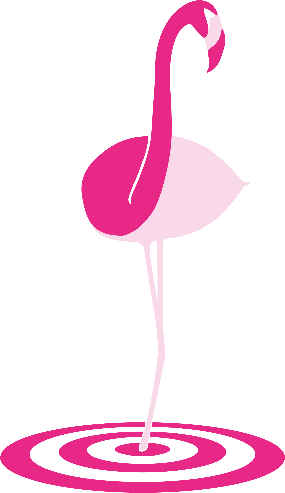 Flamingo Clipart (1134x1959), Png Download