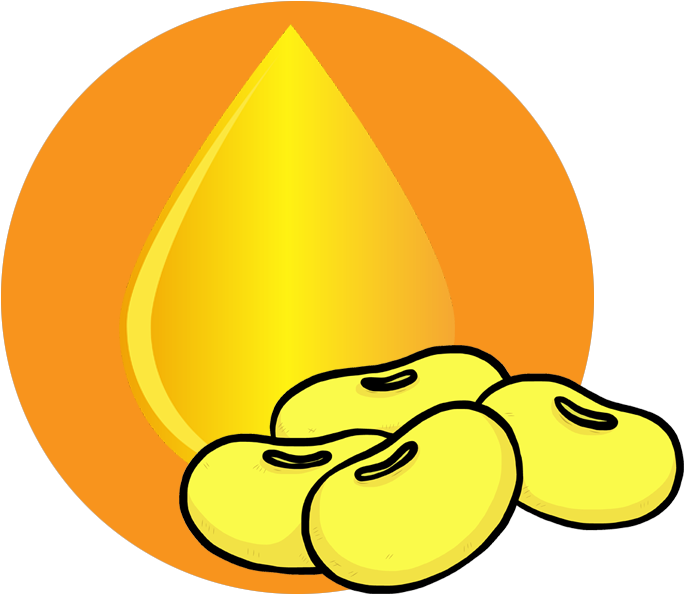 Soya Beeon Oil - Soybean Clipart Black And White - Png Download (780x645), Png Download