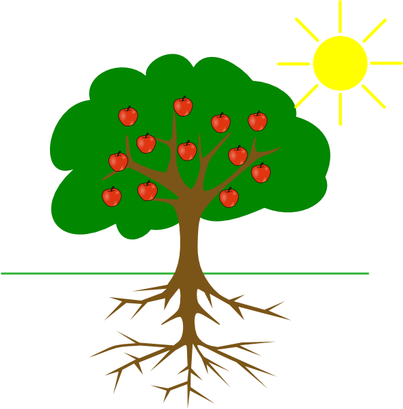 Apple Tree With Roots Clipart (588x596), Png Download