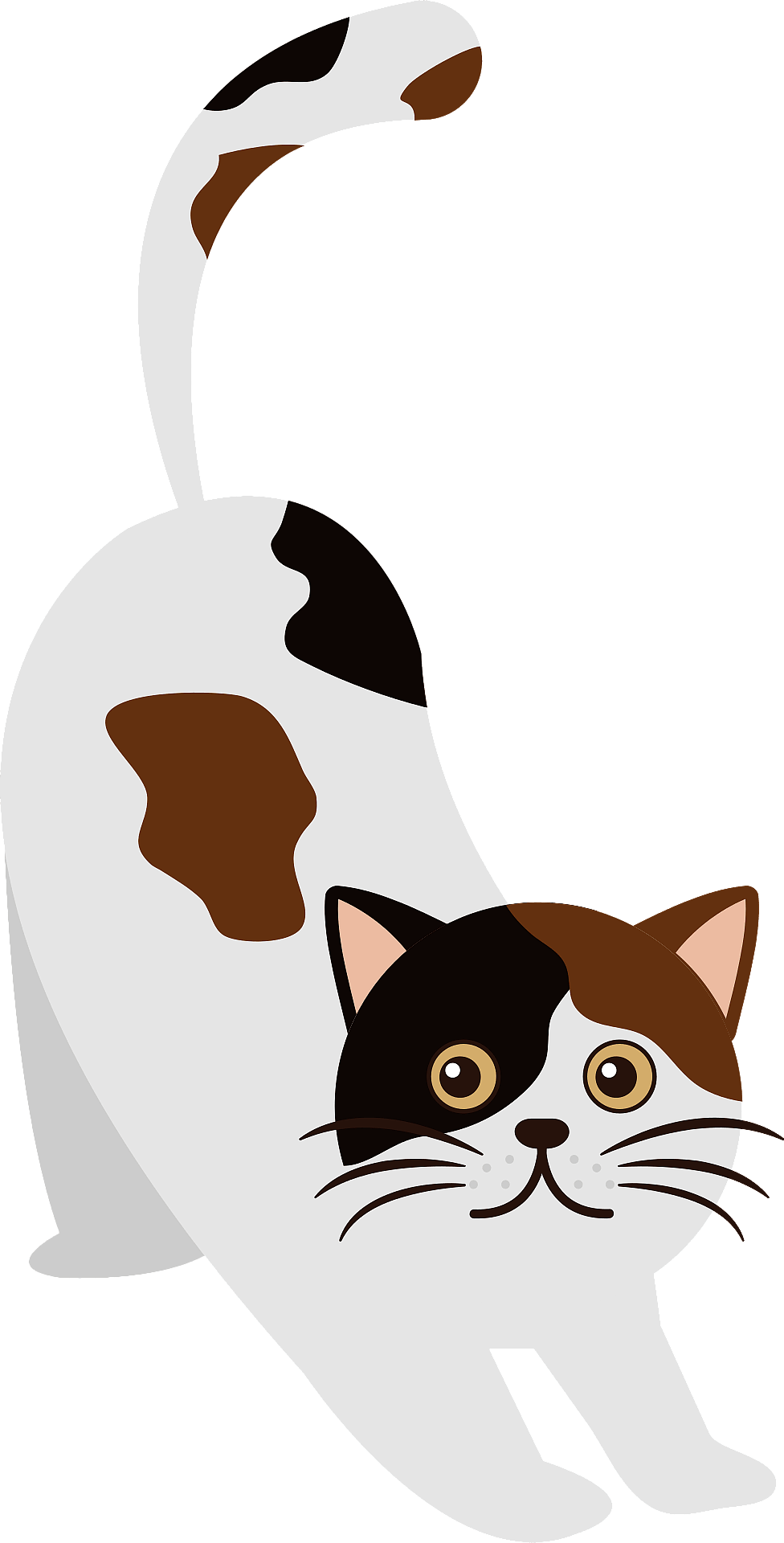 Cat Clipart (976x1920), Png Download