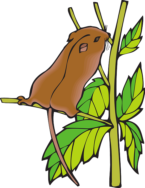 Branch, Chipmunk, Leaves, Animal, Tail, Stretching - Chipmunk Clipart (493x640), Png Download