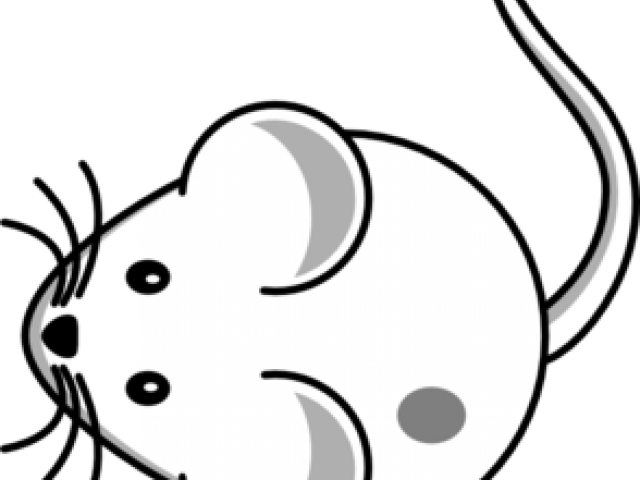 Cartoon Mouse Clipart (640x480), Png Download