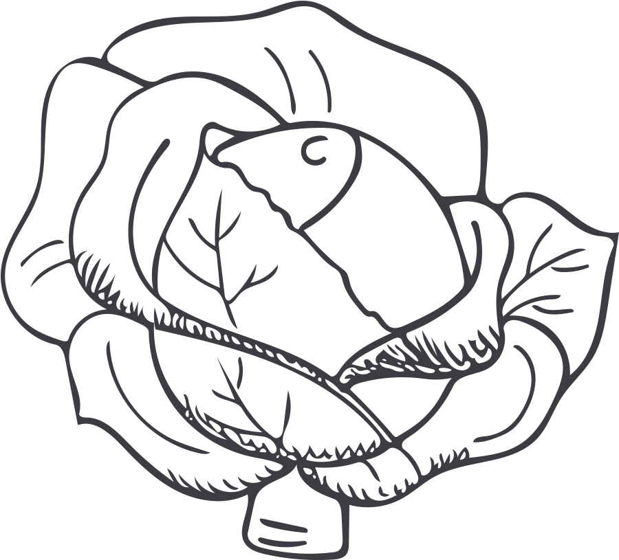 Thumb Image - Cabbage White And Black Cartoon Clipart (1000x1000), Png Download