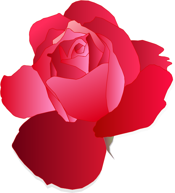 Red Rose - Digital Drawings Of Rose Clipart (726x800), Png Download