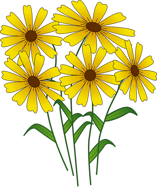 Clip Art Flower Spring - Png Download (540x640), Png Download