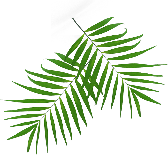 Clip Art - Png Download (694x640), Png Download