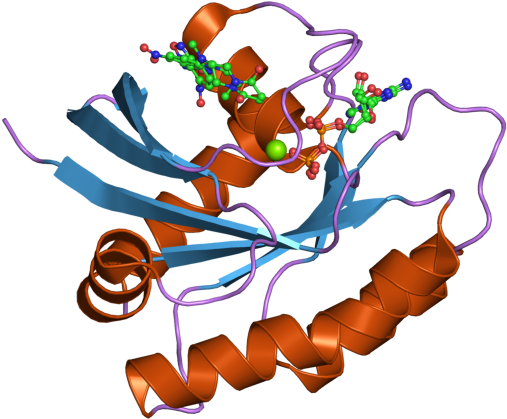Pdb 2ce2 Ebi - Hras Protein Clipart (800x600), Png Download