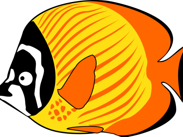 Fish Sea Animals Clipart , Png Download - Sea Fish Cartoon Png Transparent Png (640x480), Png Download