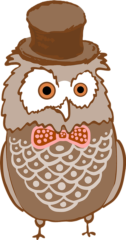 Owl In A Hat Clipart - Clip Art - Png Download (422x800), Png Download
