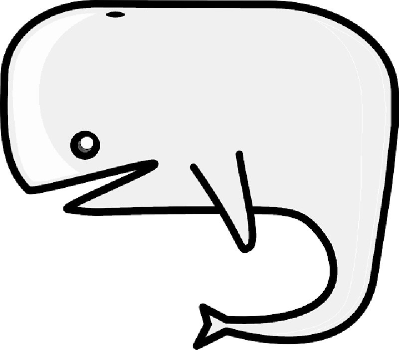 Animals, Cartoon, Mammals, Whale, Animal, Sea, Mammal - Cartoon Mammals Clipart (800x702), Png Download