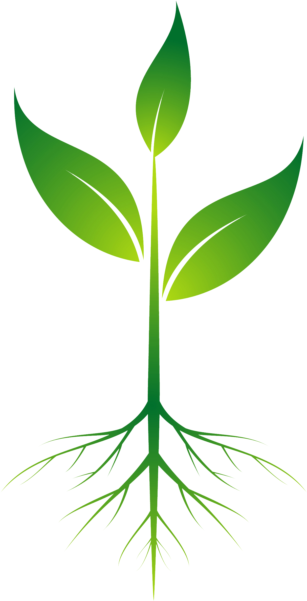 Thumb Image - Plant With Roots Clipart - Png Download (2200x2500), Png Download