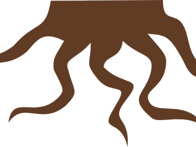Roots Clipart Png Transparent Png (640x480), Png Download