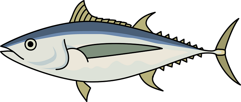 Albacore Fish Clipart - Tuna Fish Clipart - Png Download (800x339), Png Download