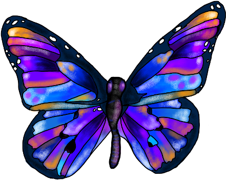 Rainbow Butterfly Clipart Picsart - Butterfly Image For Kids - Png Download (480x640), Png Download