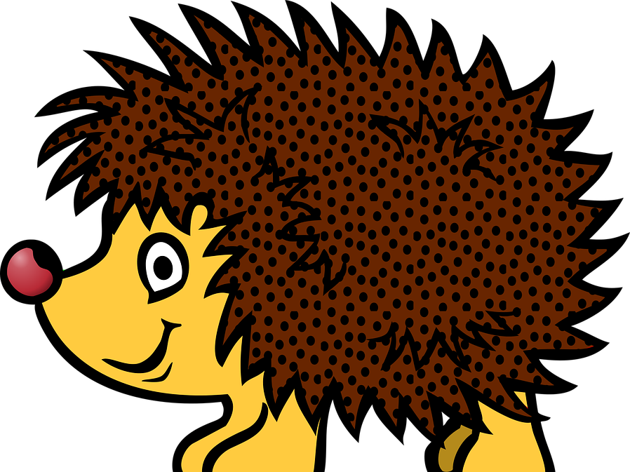 Hedgehog Png Clipart Transparent Png (898x673), Png Download