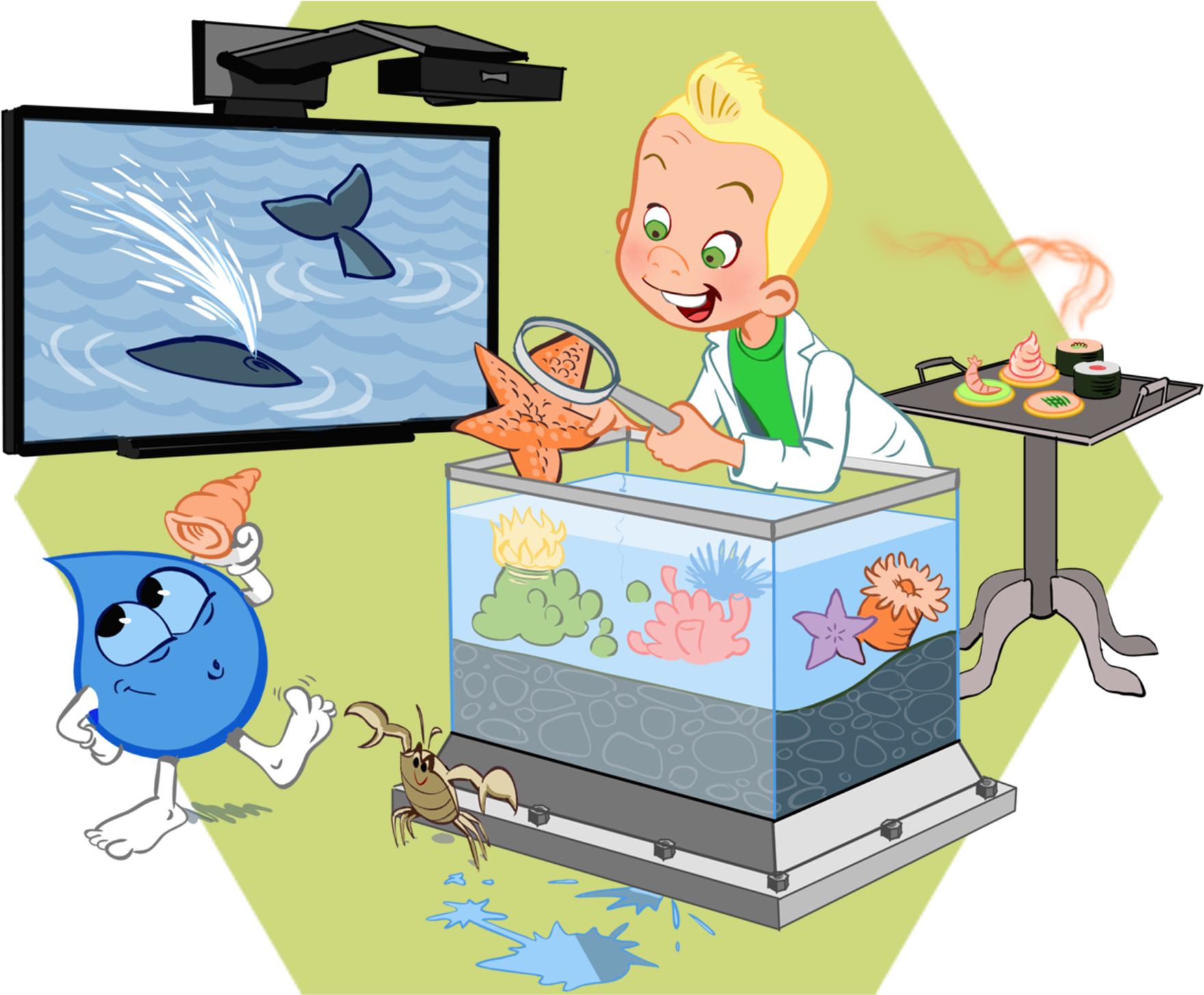 The And Sea Profaqua - Five Senses Clipart (1800x1800), Png Download