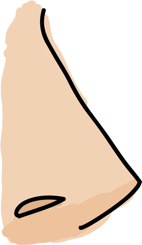 Clip Art - Png Download (640x900), Png Download