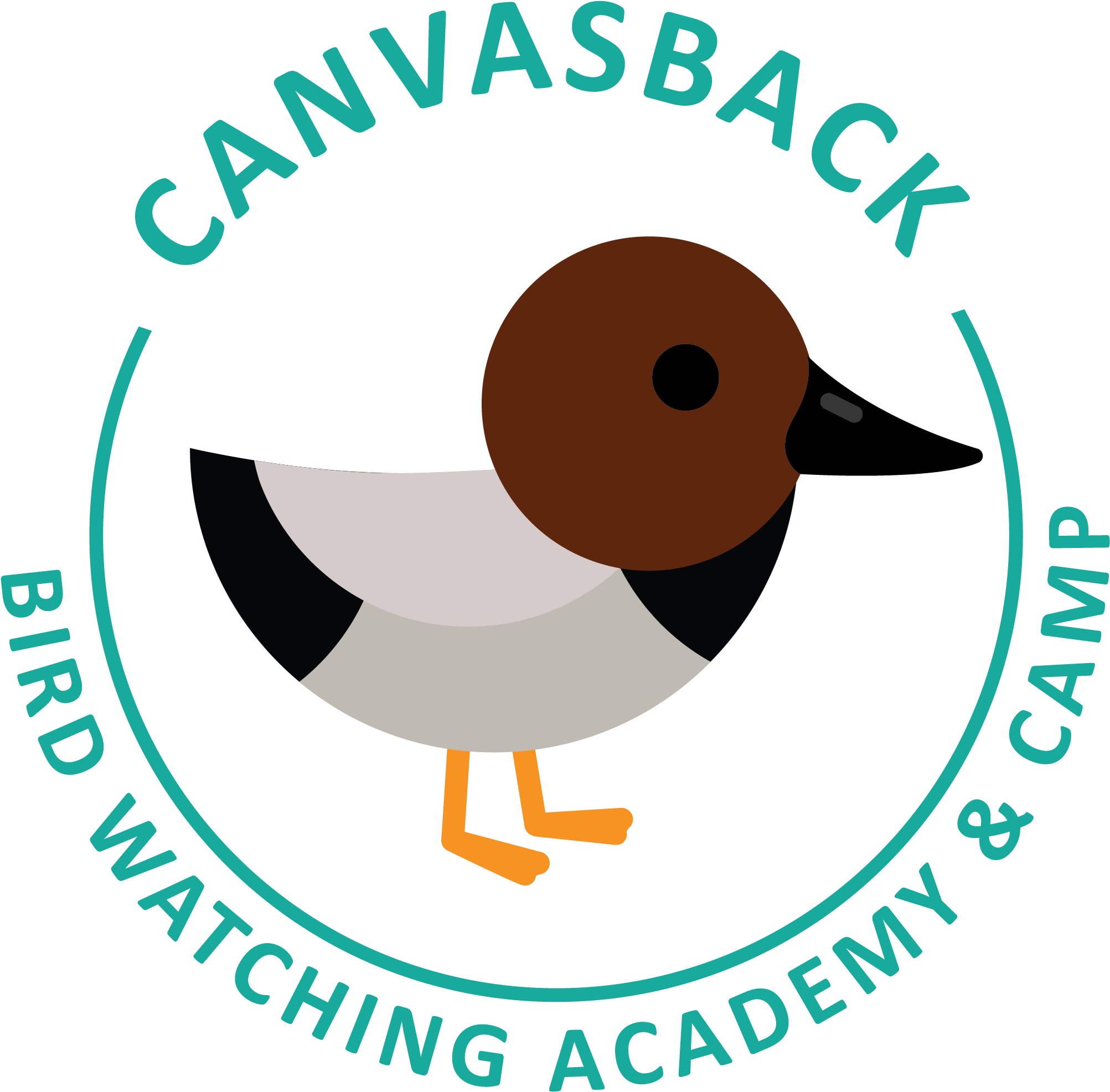 Canvasback Picture - Dpt Clipart (2544x2629), Png Download