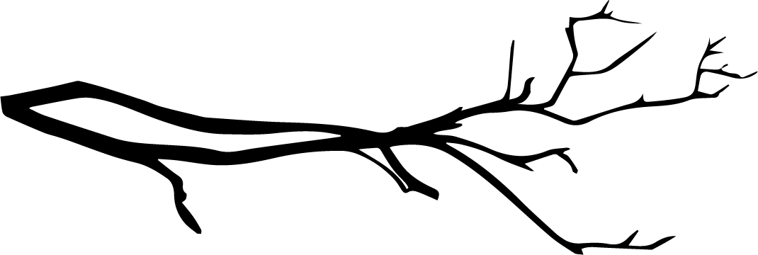 Branch Clipart (1070x360), Png Download