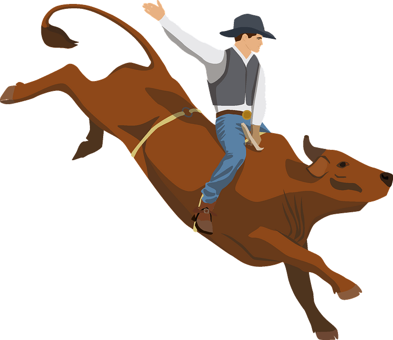 Rodeo Clipart - Equitation - Png Download (800x692), Png Download