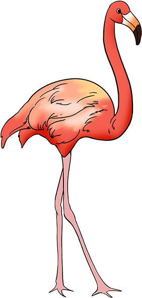 How To Draw Flamingo - Draw Flamingo Clipart (680x678), Png Download