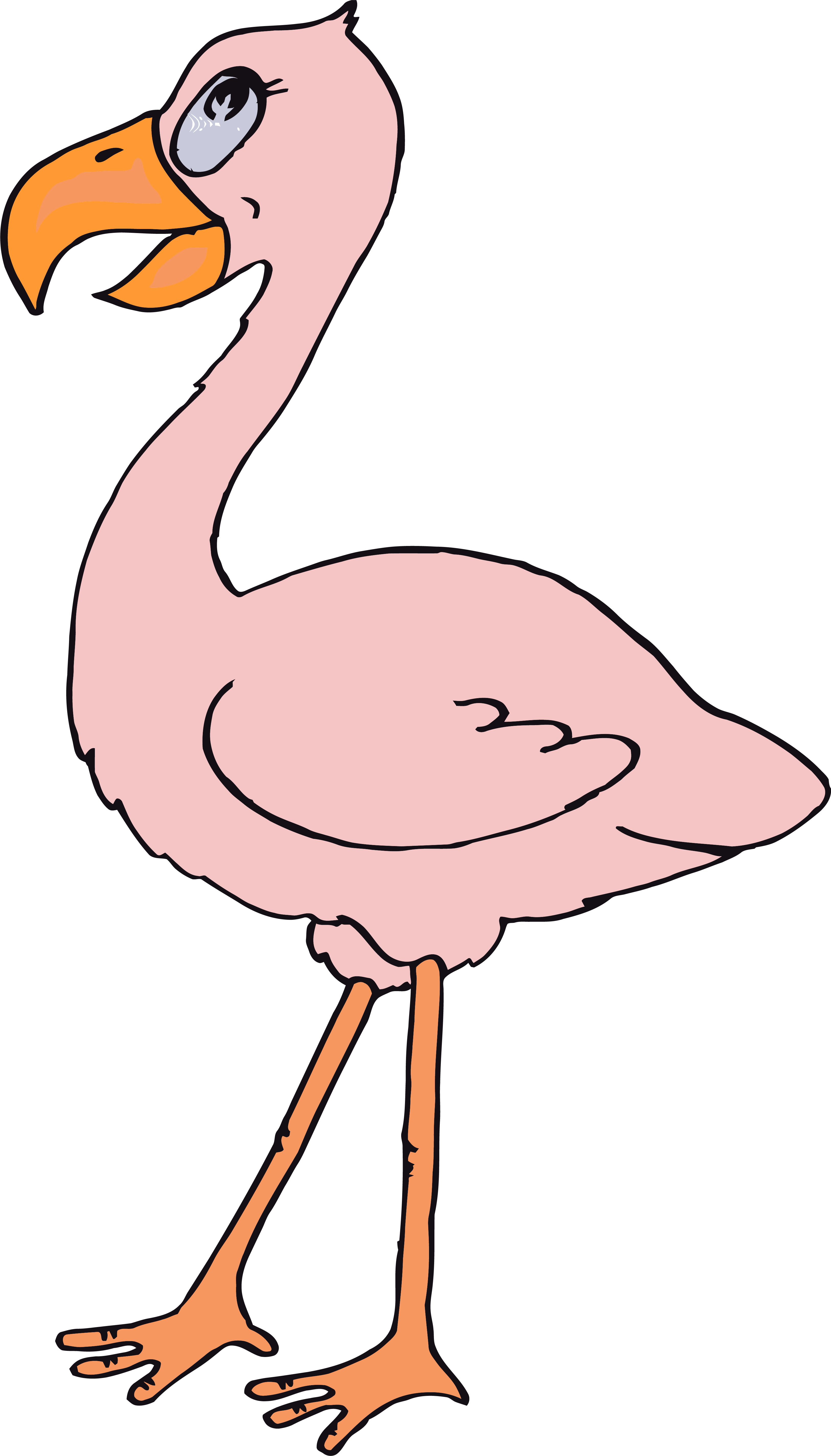 Flamingo Clipart Png Transparent Png (3250x5691), Png Download