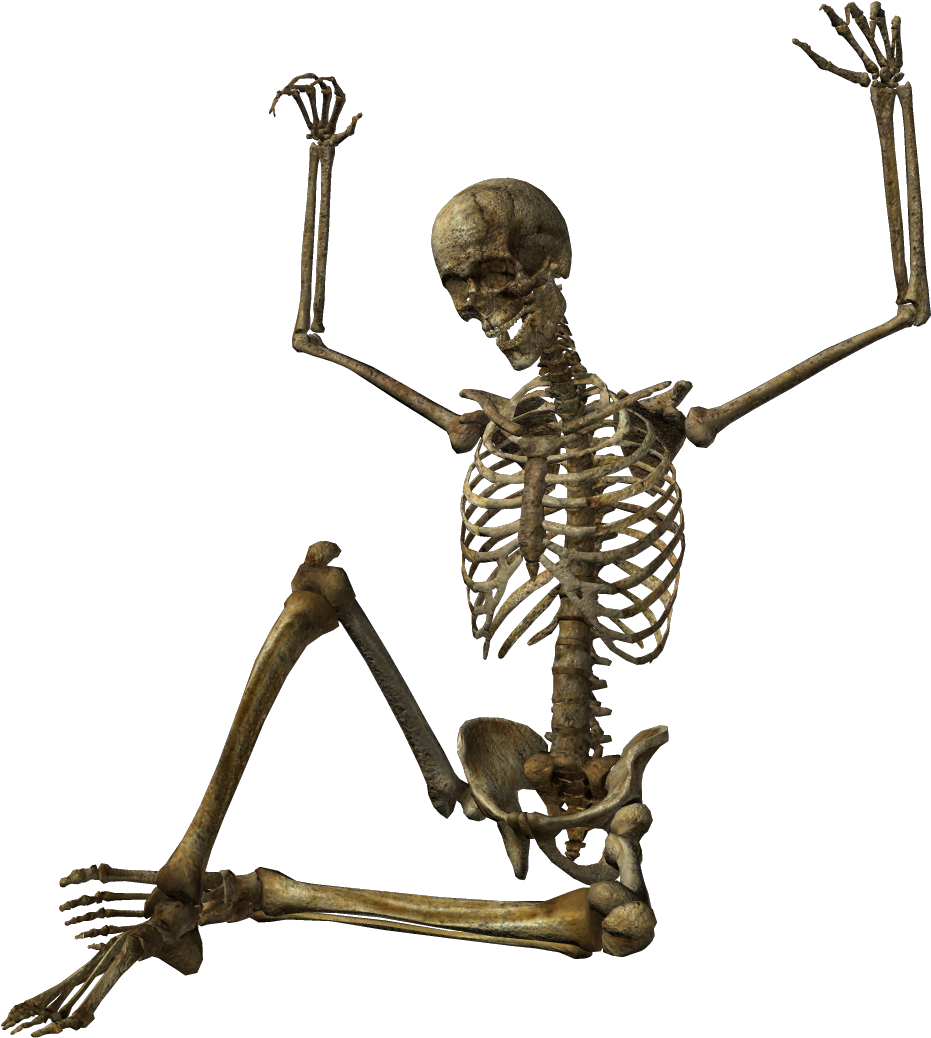 Skeleton Png Transparent Skeleton Images Pluspng - Skeleton Png Clipart (1090x1090), Png Download