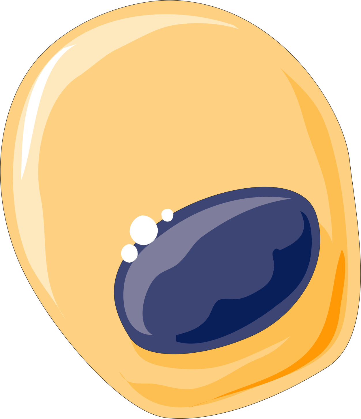 Bone Forming Cells - Osteoblast Cell Diagram Clipart (1252x1453), Png Download