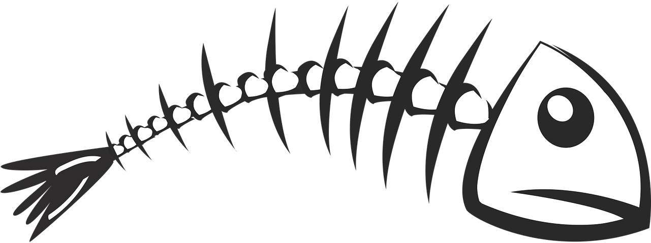 Fish bone. Fish bone. скелет рыбки. скелет рыбы рисунок. скелет рыбки.