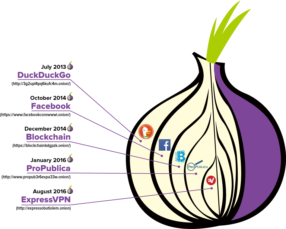 Expressvpn Dark Web - Onion Tor Clipart (964x776), Png Download