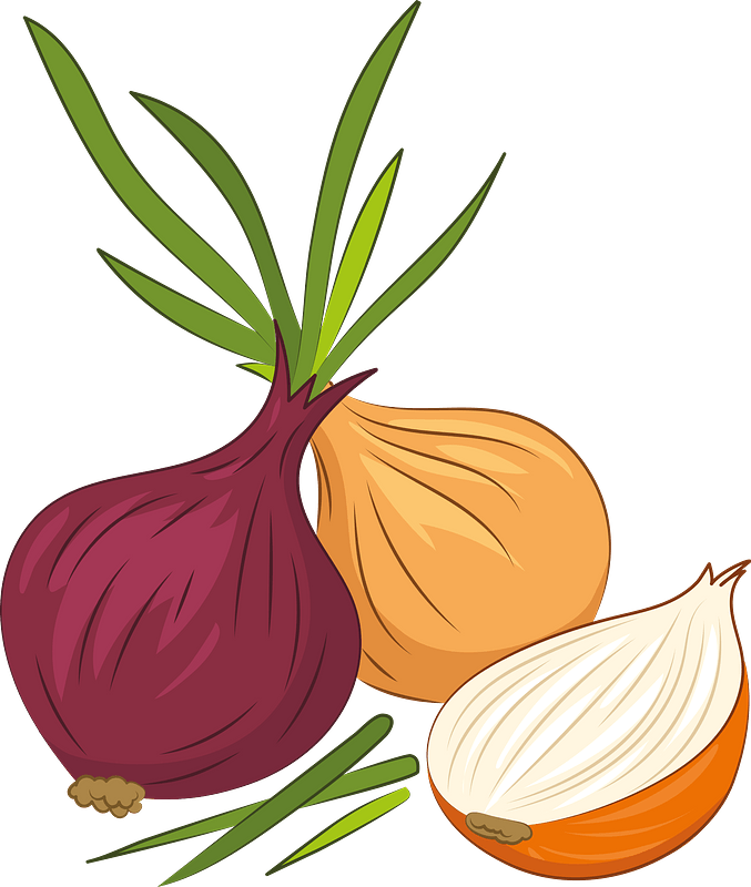 Onion Clipart Red Onion Png Download Full Size Clipart 5449998 Pinclipart