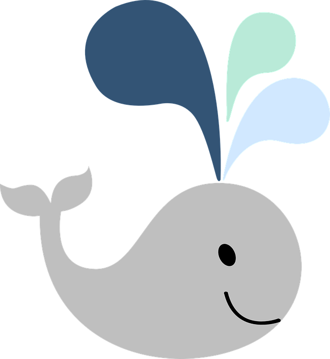 Transparent Water Spray Png - Gray Whale Cartoon Png Clipart (663x720), Png Download