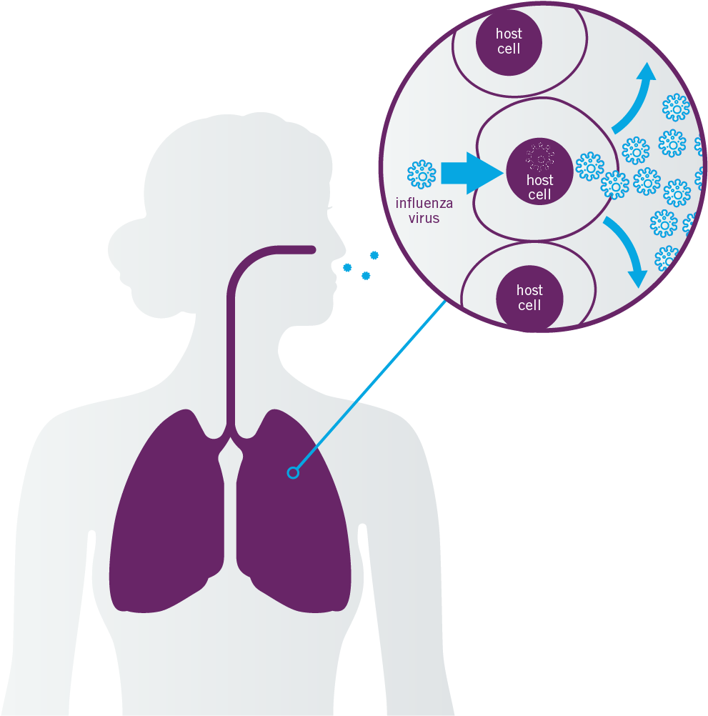 Flu Clip Art - Png Download (1001x1019), Png Download