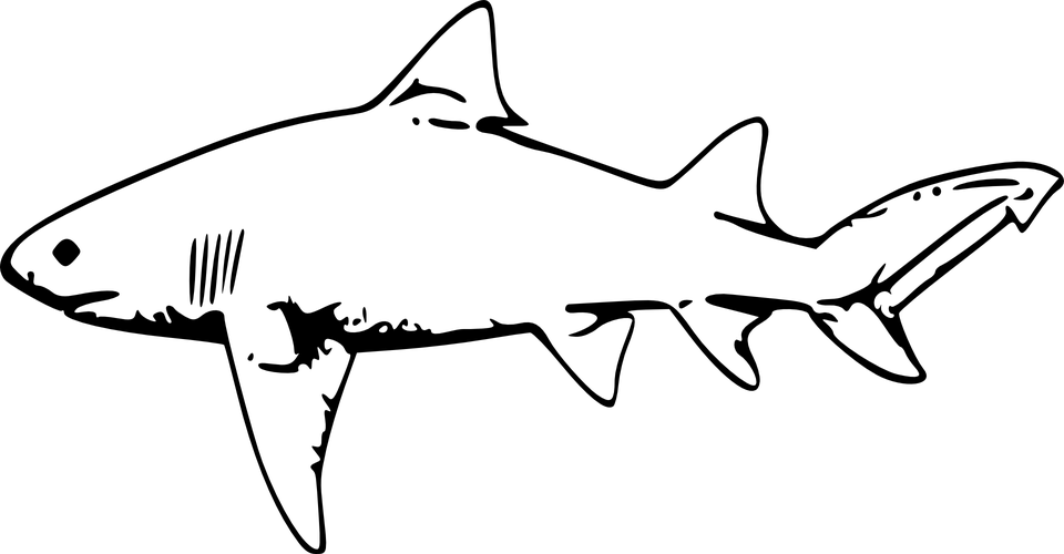 Transparent Shark Outline Png - Shark Clipart Black And White (960x500), Png Download