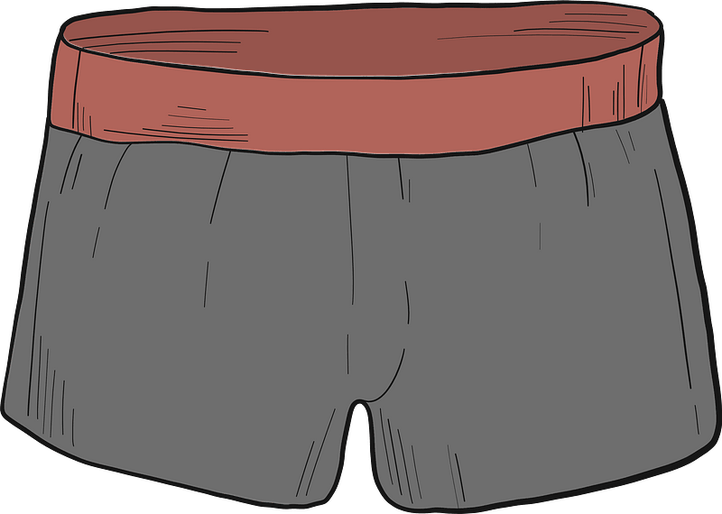 Boxer Briefs Clipart - Underpants - Png Download (800x570), Png Download