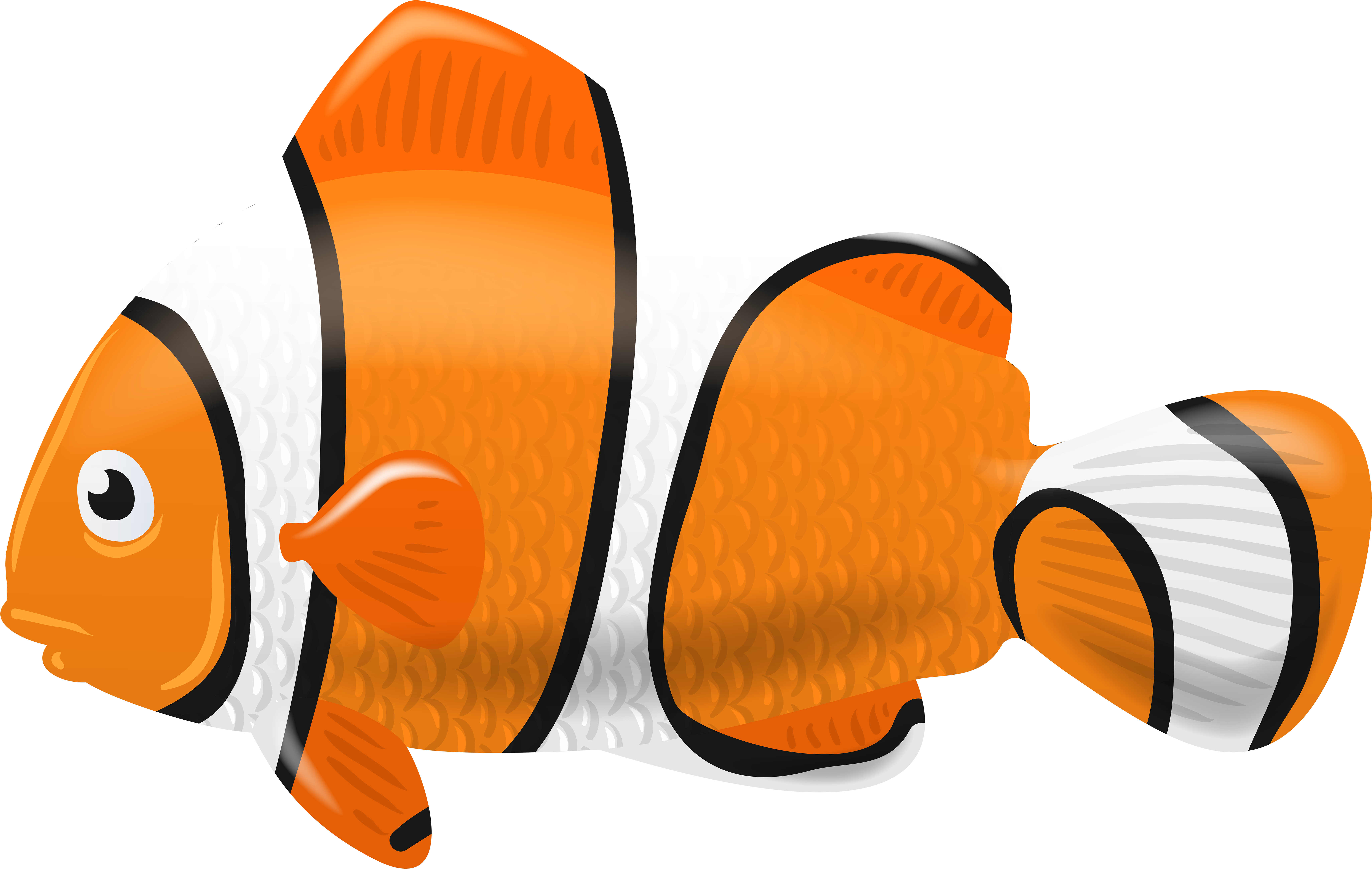Clownfish Computer Icons Clip Art - Clown Fish Picture Transparent Background - Png Download (7000x4431), Png Download