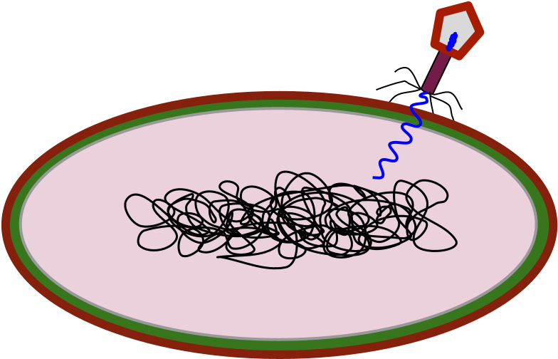 Clip Art - Png Download (960x720), Png Download