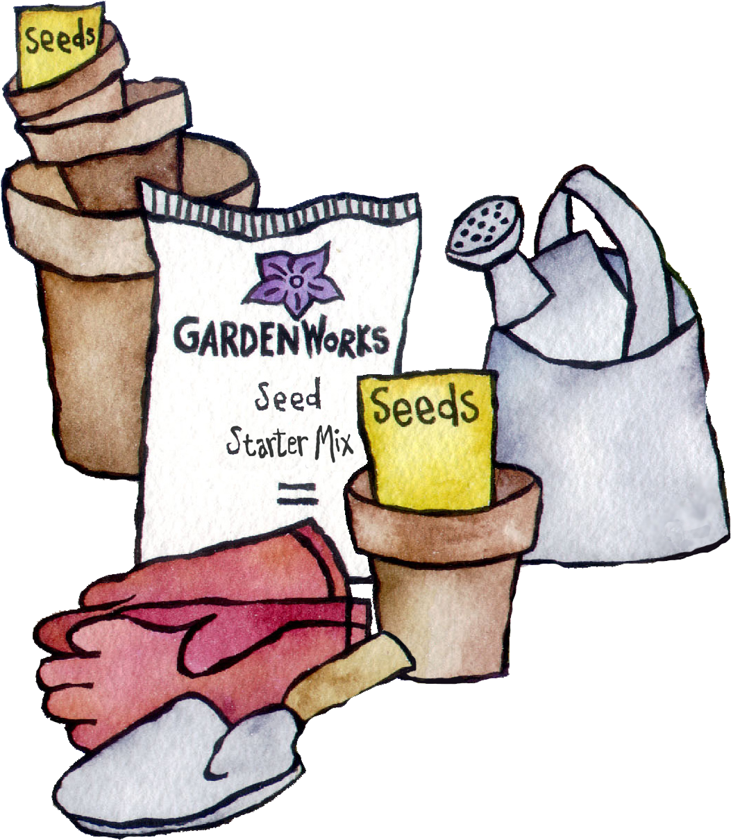 Transparent Planting Seeds Clipart - Planting Seeds Clipart - Png Download (1053x1210), Png Download