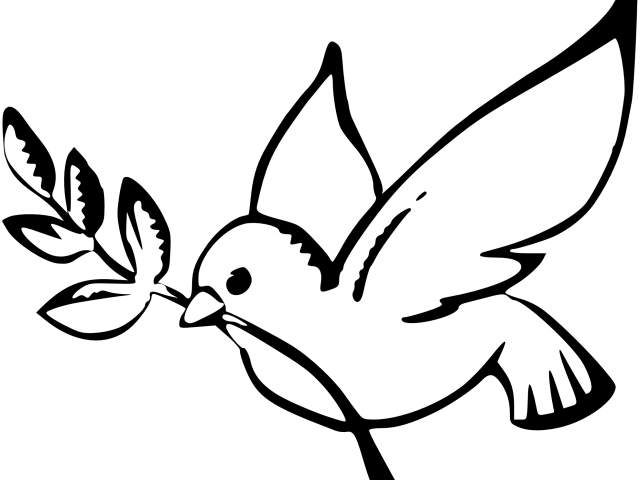 Dove Peace Transparent Bg Clipart (640x480), Png Download