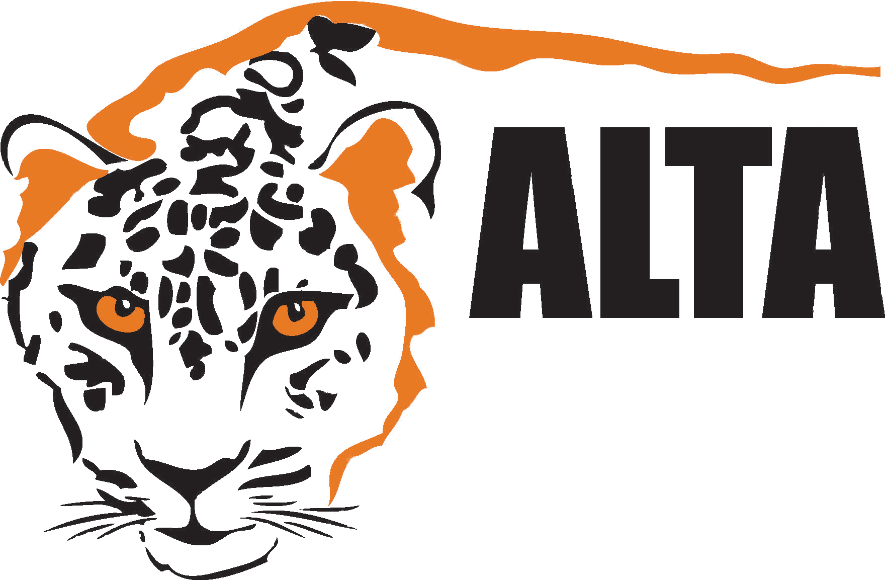 Transparent Wild Cat Clipart - Amur Leopard And Tiger Alliance - Png Download (1760x1155), Png Download