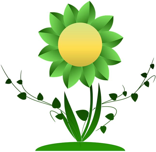 Vine Clipart Sunflower - Plantas Clipart Png Transparent Png (646x630), Png Download