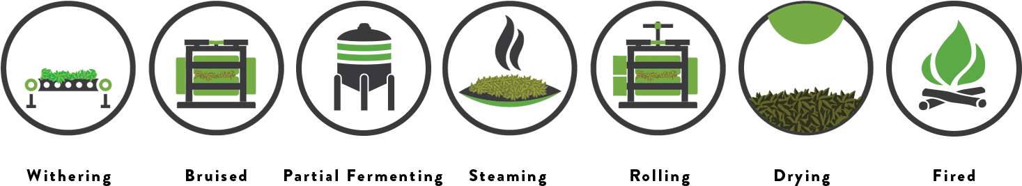 Tea Production Process Graphic Clipart (1600x350), Png Download