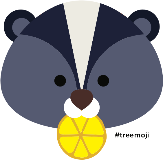 Cartoon Clipart (900x900), Png Download