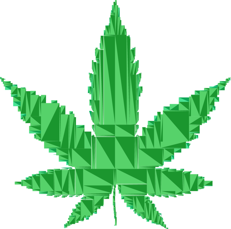 Plant,leaf,hemp Family - Cannabis Png Clipart (758x750), Png Download
