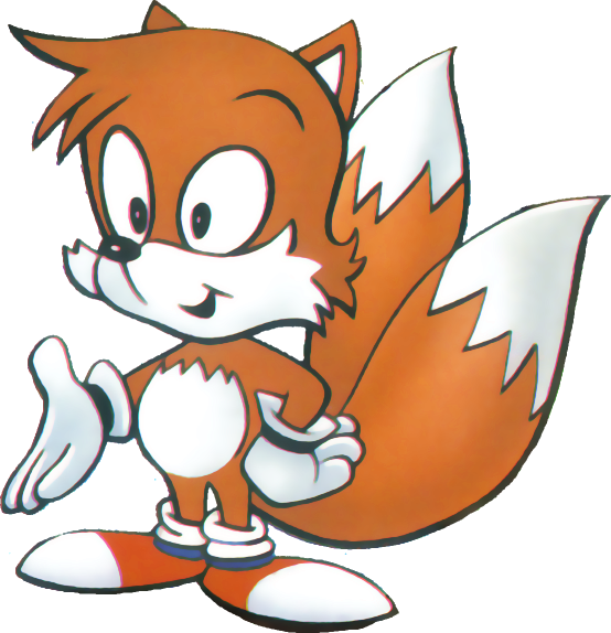 Tails - Sonic The Hedgehog Cartoon Tails Clipart (554x574), Png Download