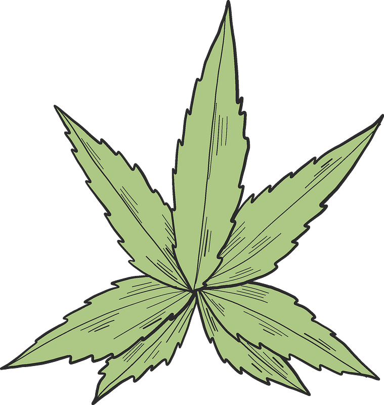 Marijuana Clipart - Cannabis - Png Download (759x800), Png Download